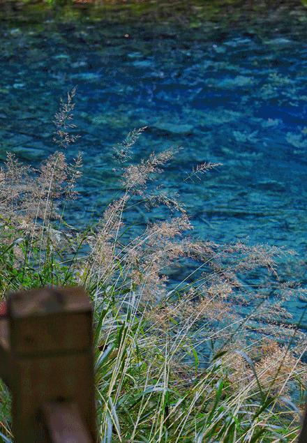 九寨沟英迪格藏趣体验哪三样,九寨沟英迪格属于什么档次酒店