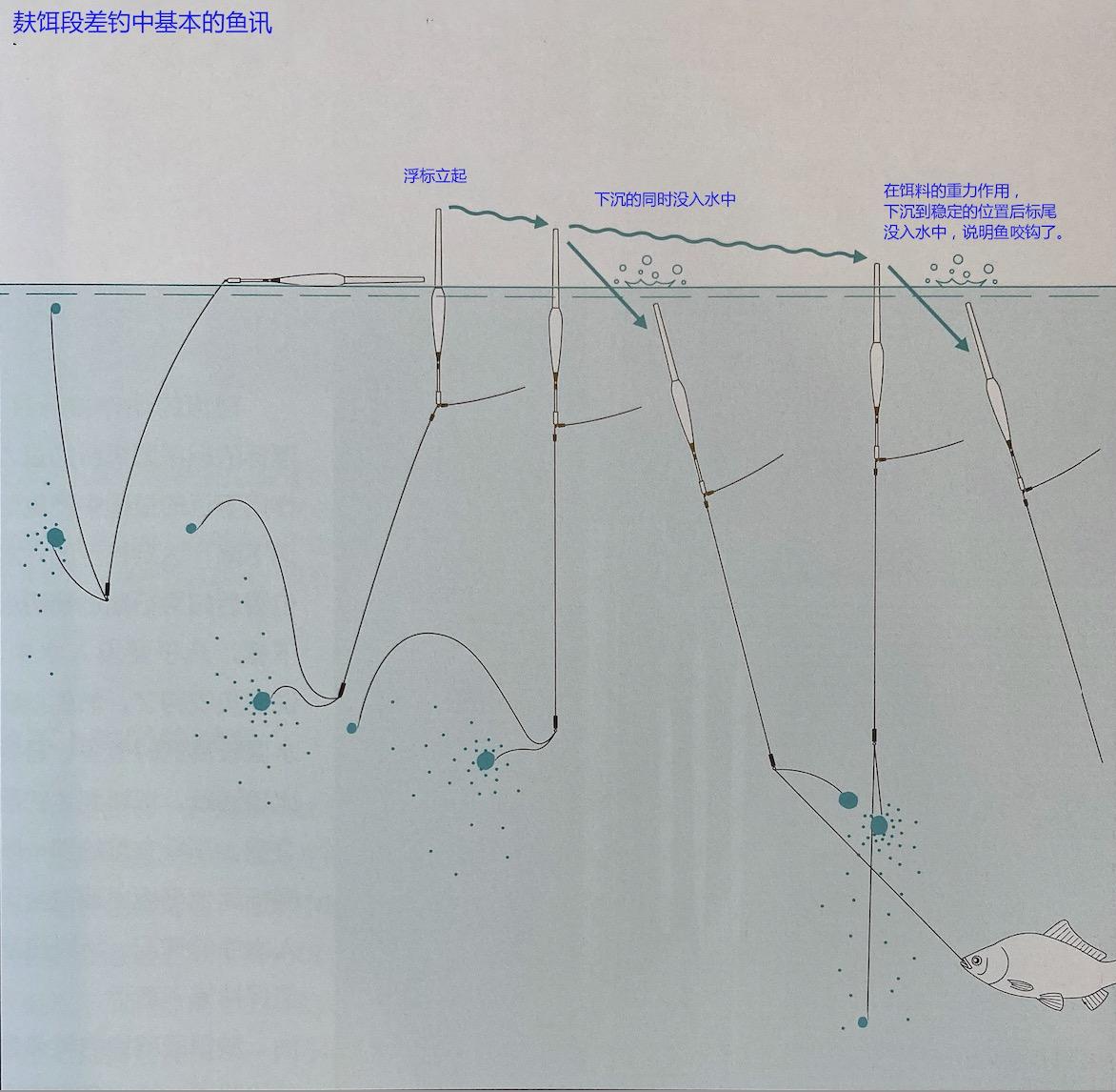 日本钓鲫鱼钓组,日本野钓垂钓饵料推荐