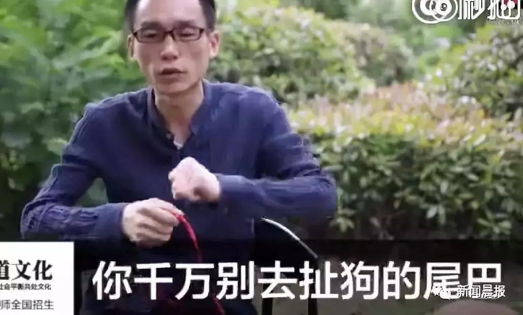遛狗不牵绳算野狗吗,遛狗不牵狗绳咬伤别人怎么办
