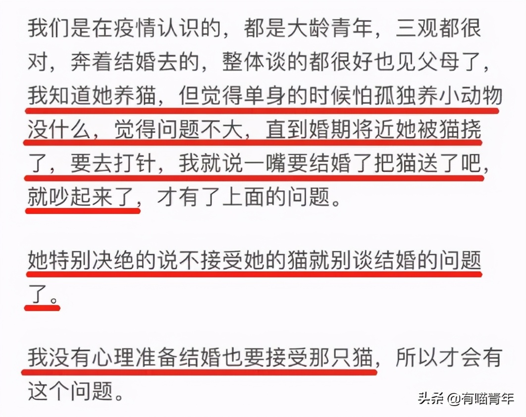 养了十几年的猫和男朋友分手了,女朋友要求丢掉养了3年的猫