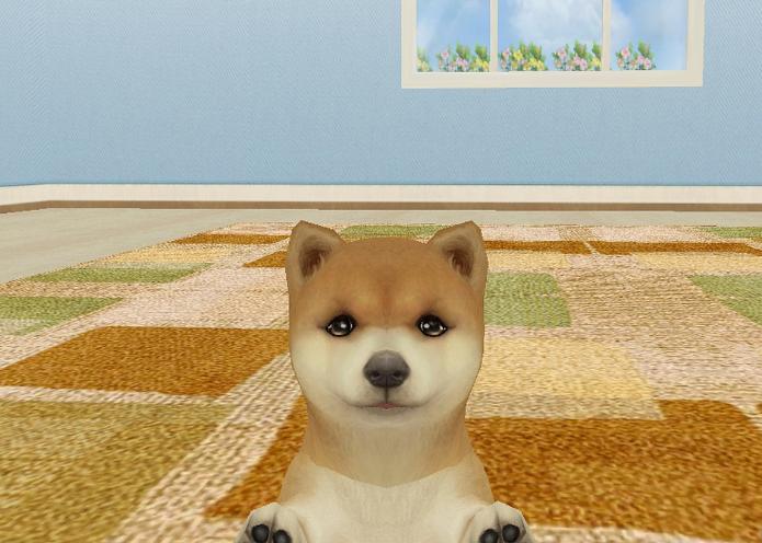 从黑白点阵到3D萌物美如画，虚拟电子宠物22年进化史