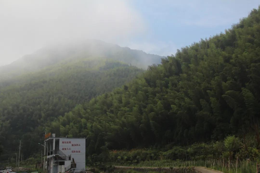 我要去旅行英文,我要去旅行完整版