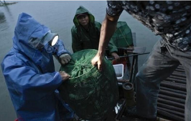 阳澄湖大闸蟹蟹卡还有最后几份,阳澄湖大闸蟹蟹卡模式