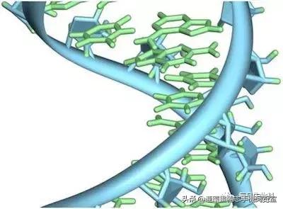基因编辑最新研究进展,abcc11基因编辑研究进展