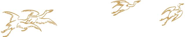 「丁兰风度」行·思·研·学,最好的课堂在路上……(上篇)