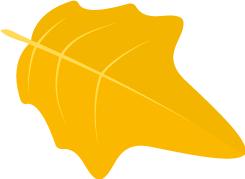 宁波北仑初中报名,北仑区小学新生报名时间