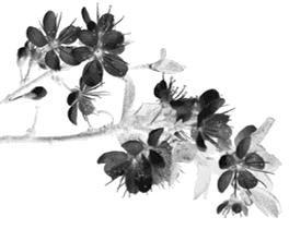 谨慎使用日本的网红眼药水,4款网红眼药水真的安全好用吗