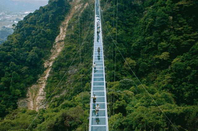 铏庨棬閫氳溅鏃堕棿,铏庨棬閫氳溅