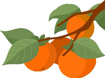 身影或许略显蹒跚，心中仍是追风少年——“烟台农商银行”最靓足球拍档展示就等你了！