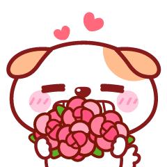 巾帼创业创新总决赛,巾帼创业创新大赛视频