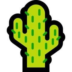 新战友旅游攻略,下半年入伍全攻略