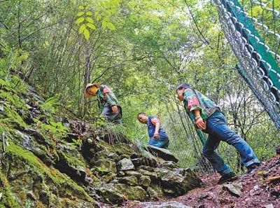 最美生态护林员事迹例文,最美护林员先进事迹题目