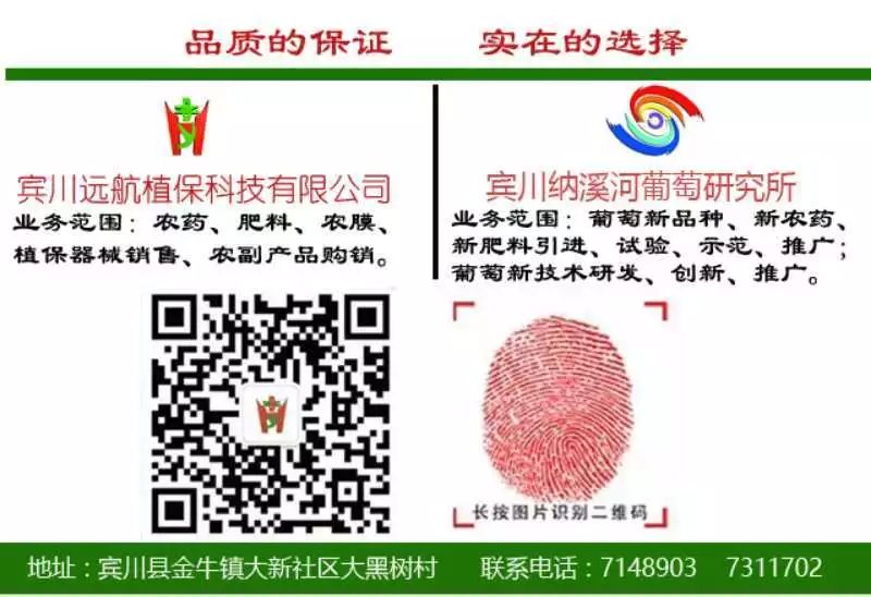 创卫宣传标识牌模板,创卫宣传展板内容