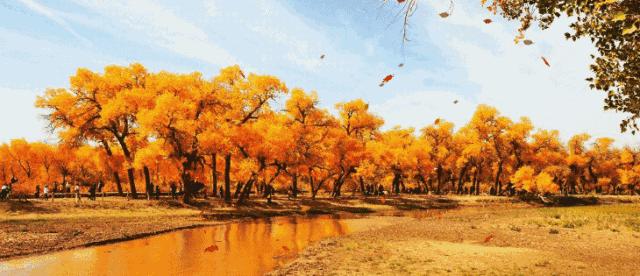 秋分后吃什么御寒,秋分注意保暖的事项