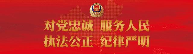 镇江食药环侦大队,镇江食药环侦大队长