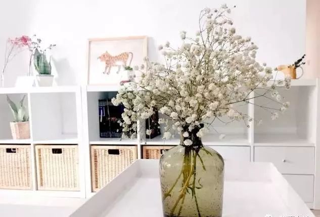 多种花材该如何插花,插花必备的几种花