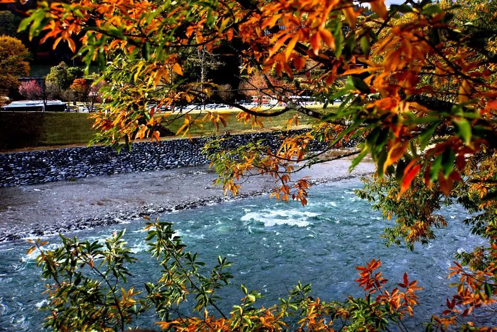 上海赏枫小众景点,小众赏枫
