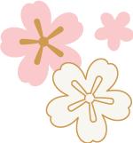 冰丝无痕隐形袜,夏季光腿隐形袜测评