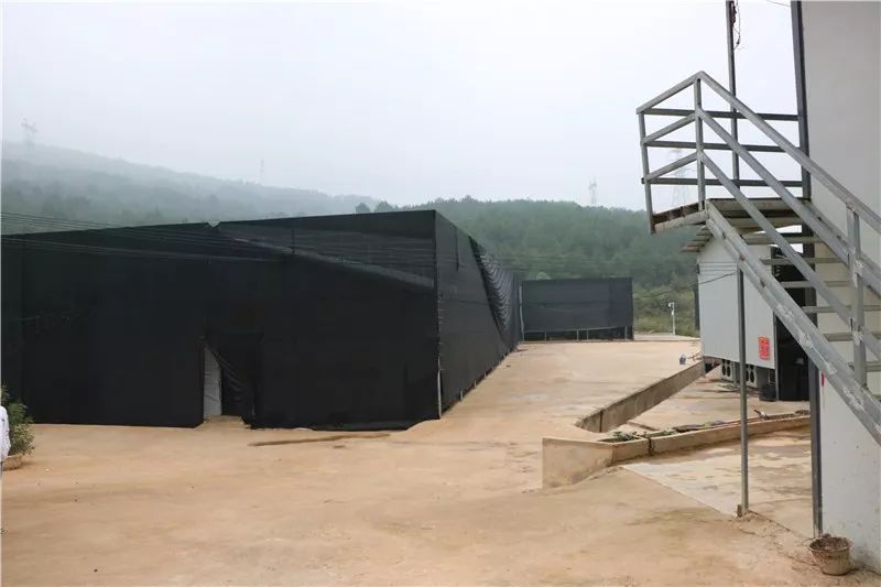 亚鱼瓮袍的“脱贫伞”