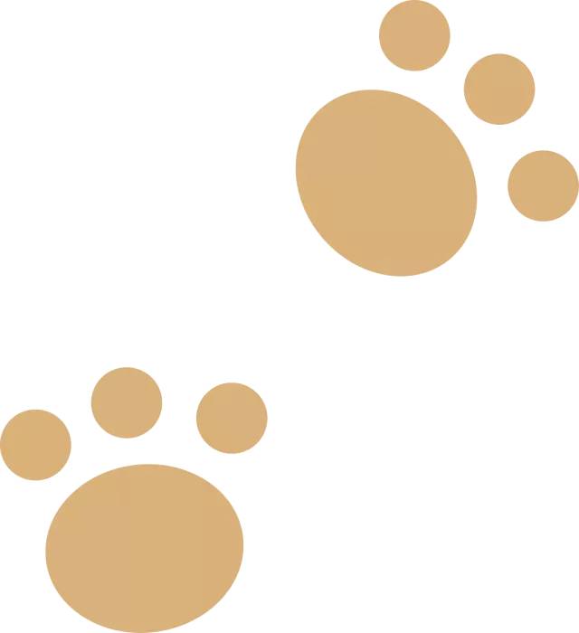 妈妈,我们为什么要吃牛肉,牛会不会疼?