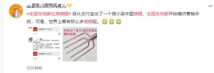 锦鲤骗局揭秘最新消息,锦鲤骗局新套路