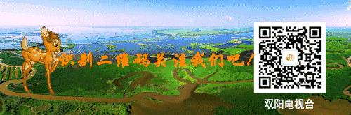 银行实时转账24小时内怎么撤销,银行atm机转账24小时到账怎么撤销