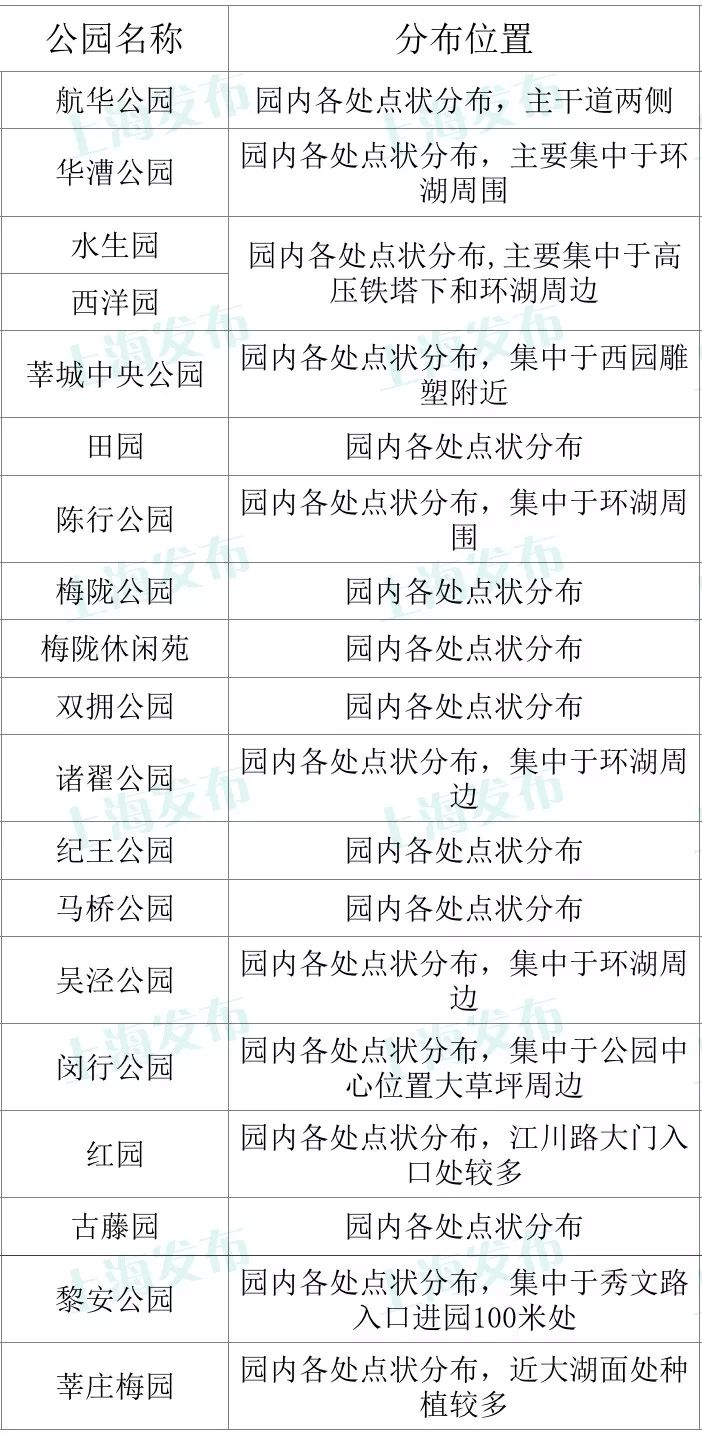 上海赏桂花好去处,江浙沪赏桂哪里去