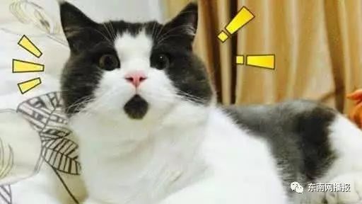 福建省高速收费站最新通告,再见福建这16个高速收费站