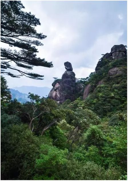 三清山游客评论,三清山评价