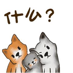 重阳特刊|“千金难买老来伴”！老年人离婚案件频发，该如何化解？