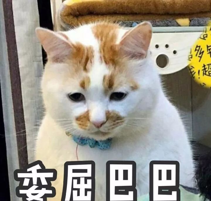 怎样才能睡好,怎么样才能让自己睡好觉