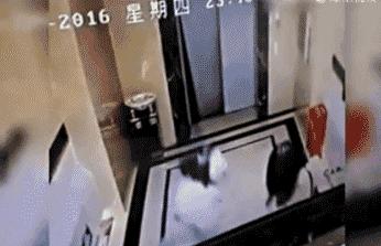 保时捷女司机的道歉到底证明什么,保时捷女司机最后怎么了