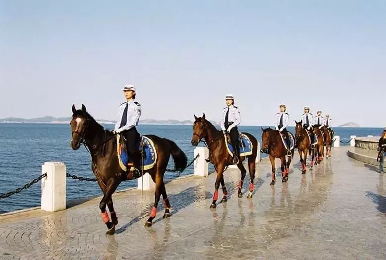 娴庡畞鏂板鑸彮,娴庡畞鏈哄満鎹㈠鑸彮