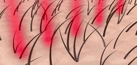 日本防脱生发增发密发育发液,脱发救星防脱育发洗发水