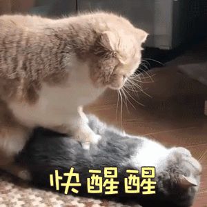 警方查获美容针,被举报给人打美容针会刑拘吗