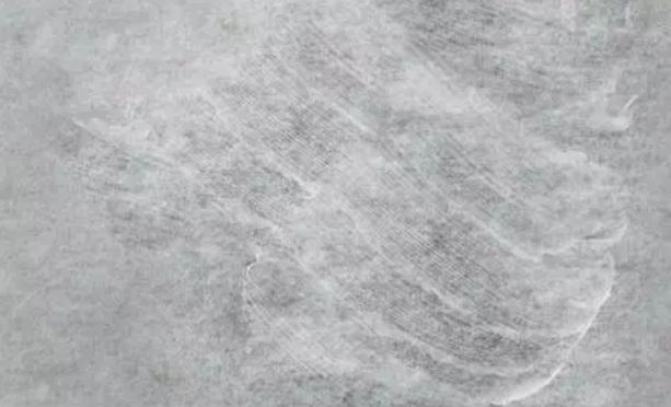 抗氧化修护面霜,修复维稳抗老大牌精华和面霜