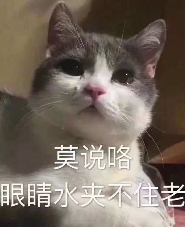 商丘房价走势2020官方信息图,商丘二手房房价