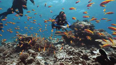 压力大没地方释放,压力太大适合解压的地方