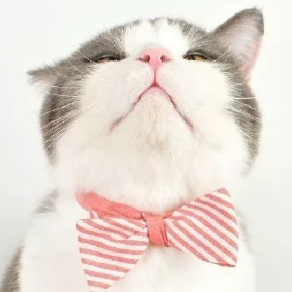 快看！心脏“漏了个洞”，人竟然还活着……