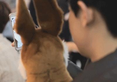 exo十一周年见面会照片灿烈,exo十一周年见面会灿烈介绍自己