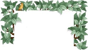 孕晚期便秘怎么办？太过用力会不会早产？