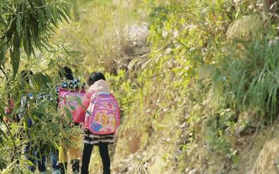 纳桑红糖双十一,纳桑新款