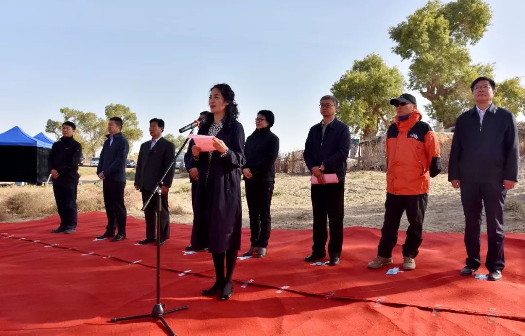 库尔班大叔和他的子孙们扶贫,库尔班大叔和他的子孙们安徽卫视