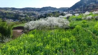 魅力中国城崇左vs大足视频,魅力中国城让你知道