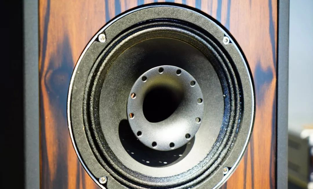 如美玉,德国dynamikks音箱