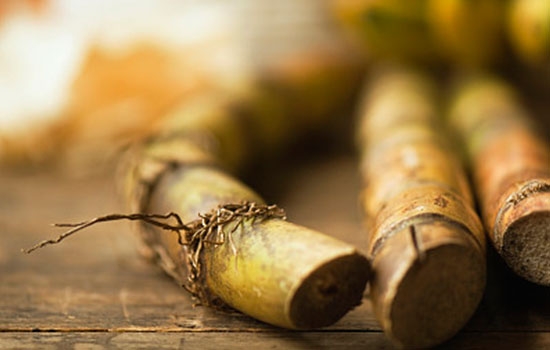 为什么吃甘蔗嘴口腔里有泡,为什么吃甘蔗嘴角会起泡呢