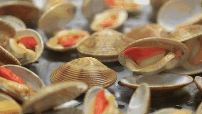 大连开海后的海鲜,开海了吃海鲜去哪个码头最便宜