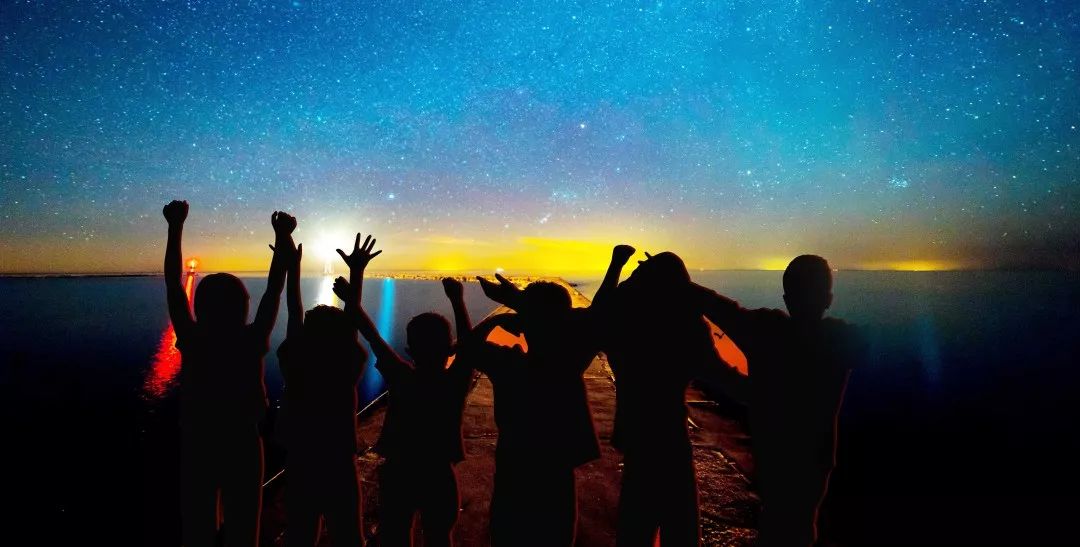 家养鹅当宠物需要注意什么,与宠物接触要注意什么