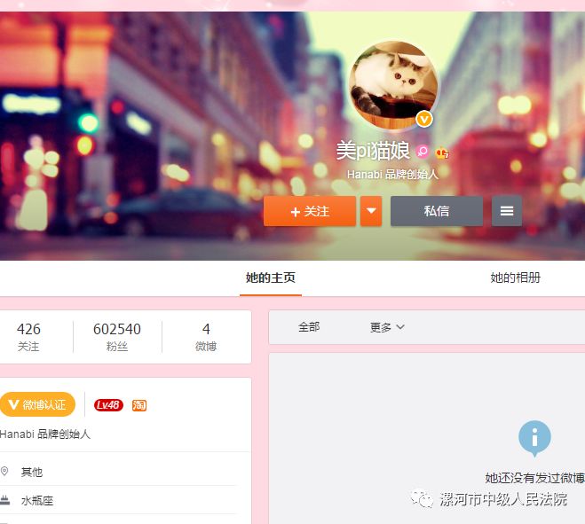 网红猫娘落网真相,网红猫娘被捕事件