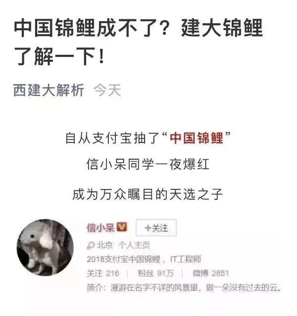 锦鲤活动什么时候开始,锦鲤活动啥时候开始